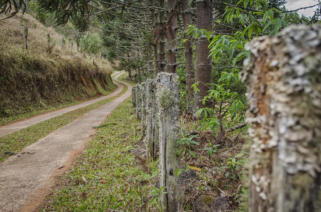 Pousada A Casa Da Fazenda サント・アントーニオ・ド・ピニャウ エクステリア 写真